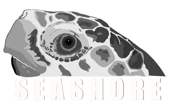 Seashore Environment